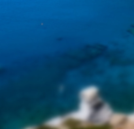 莫奈《睡莲》真迹