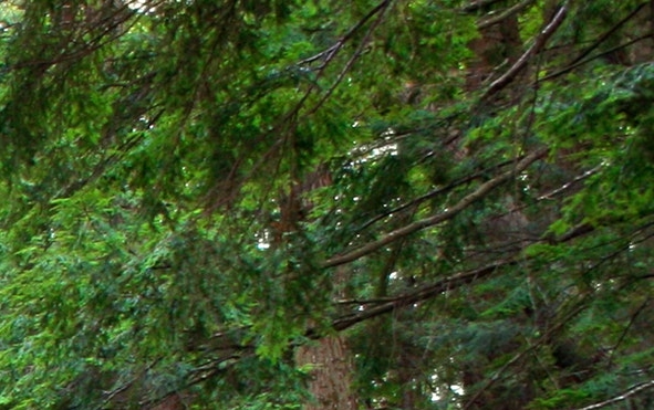全世界最小的大学