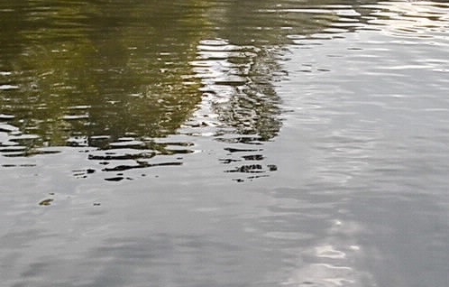 TPK宸鸿要倒闭了吗