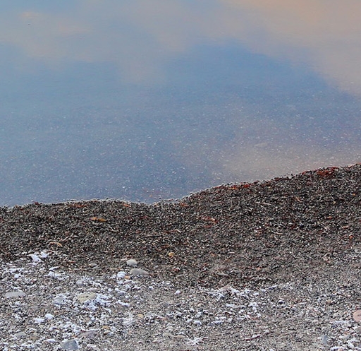 科技调查报告200字