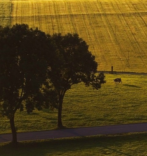 饥饿鲨世界苹果破解版连接电脑怎么下载