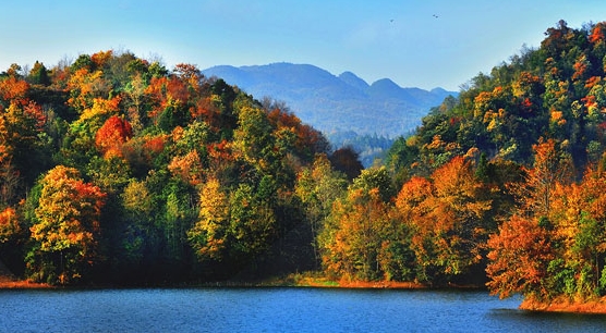 去见识一下外面的世界