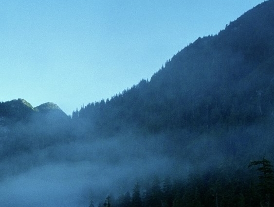 武汉工程科技学院就业信息网