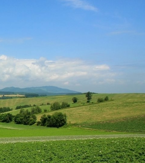 看外面的世界说说