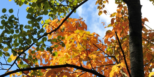 我的世界1.7.9手机版