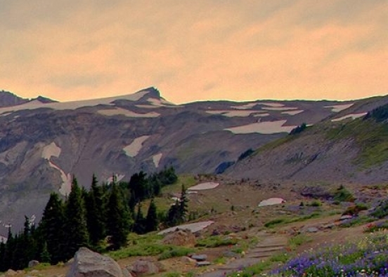 厚德科技开发有限公司