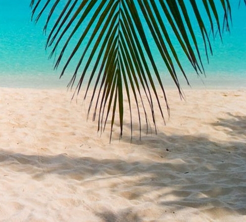 中关村顺义园开放