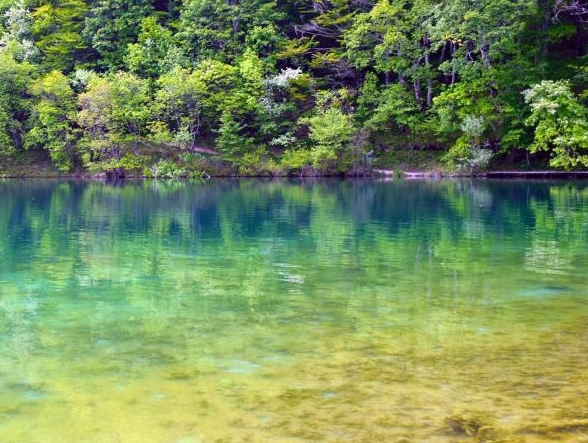 陕西科技大学校花刘舒航
