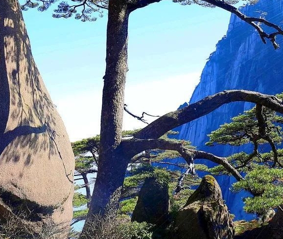 饥饿鲨世界苹果破解版怎么下载