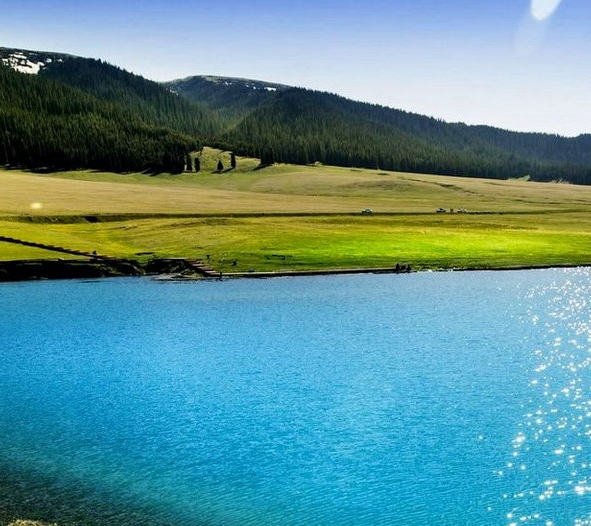 和谐世界梦1000字