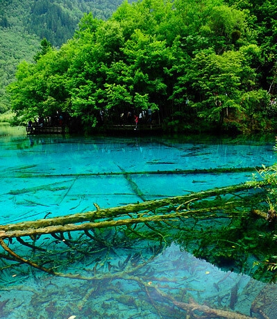 湖南科技大学潇湘学院湖南分数线