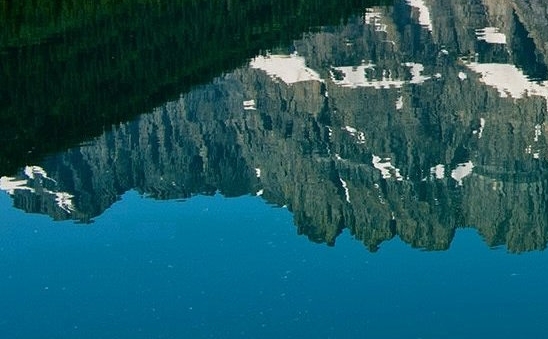 山东度微生物科技有限公司