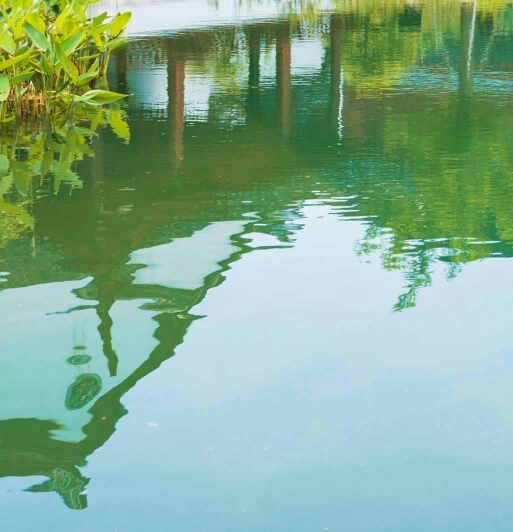 陕西科技大学计算机考研