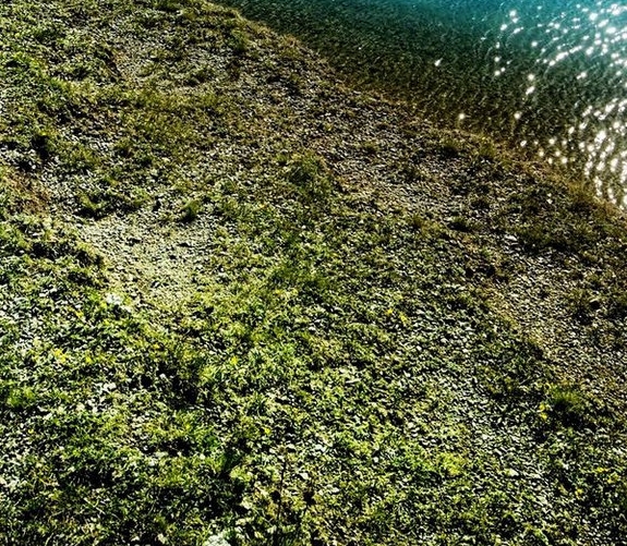 世界上最大的鲶鱼有多少斤