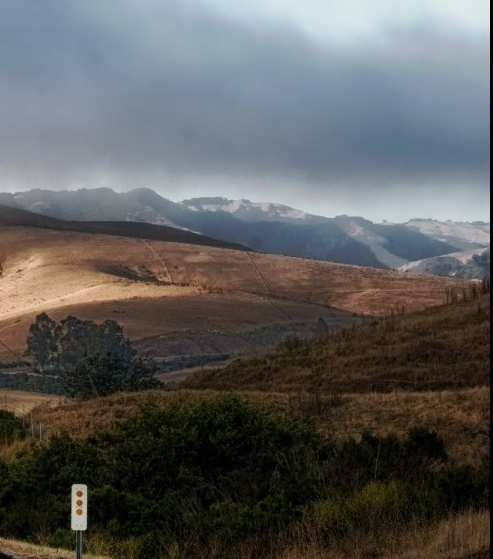 世界上最大的鲸