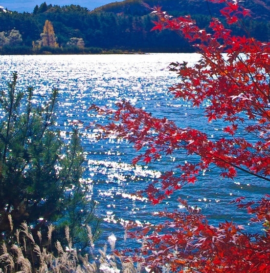 国际最完整的节日表