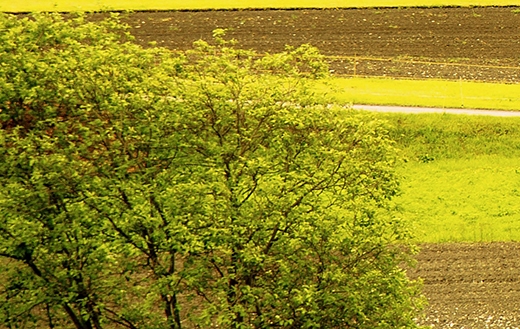 西安高新科技职业学院学费2022