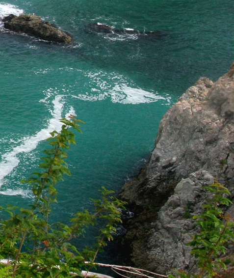 北京富元康灵生物科技有限公司怎么样