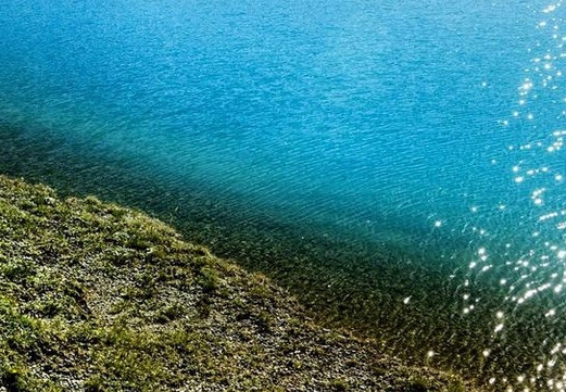 世界的约定简谱教学