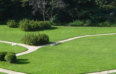 美国罗德岛艺术学院世界排名