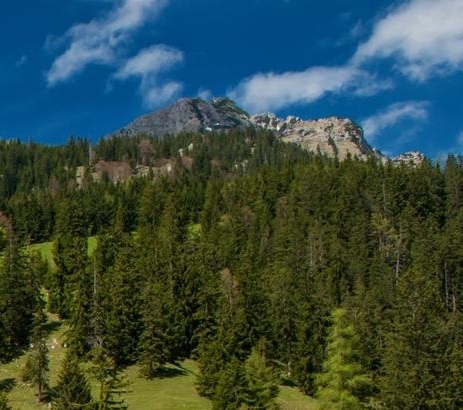 请带着你的虚伪离开我的世界