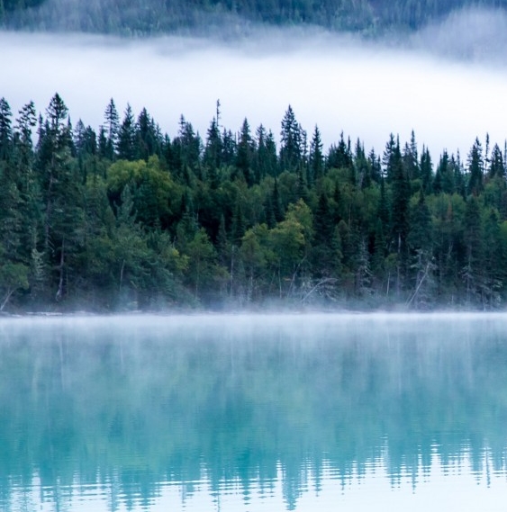 北京富元康灵生物科技有限公司服用量