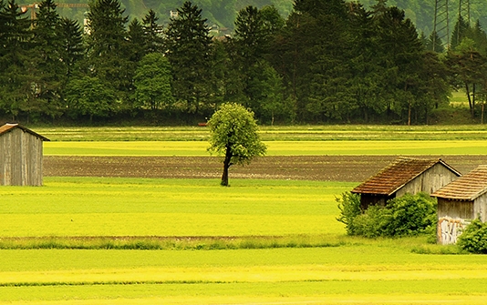 丽波科技情趣liveshow