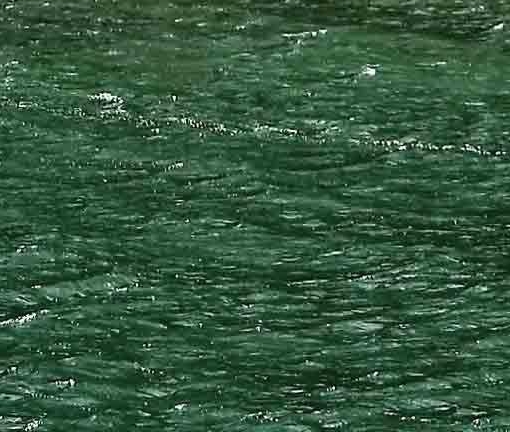 广西民族大学相思湖学院学费