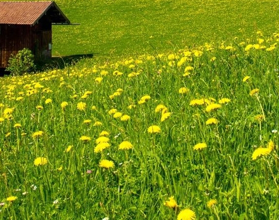 科技馆志愿者有工资吗