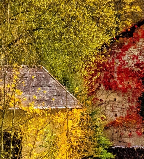 世界上最奇怪的字