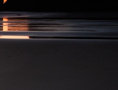 暴击僵尸2015老版本