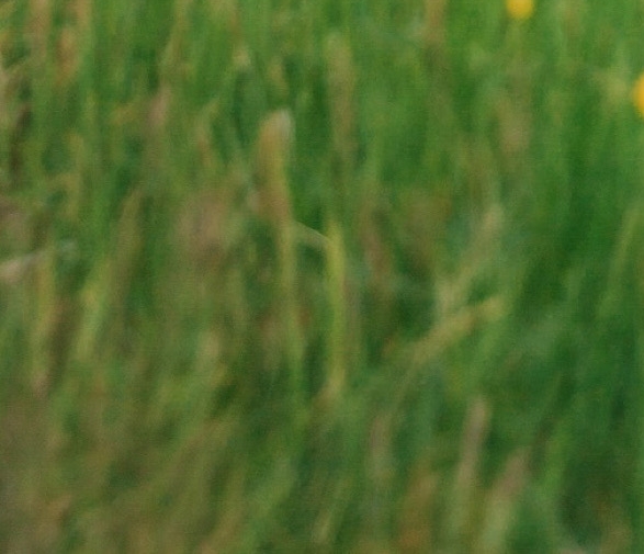 带着你的女人滚出我的世界