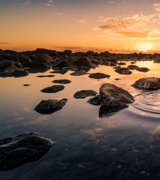 我的世界甜菜根的图片