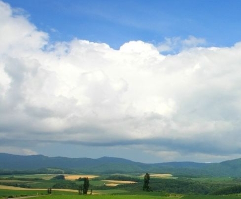七麦数据创业天下