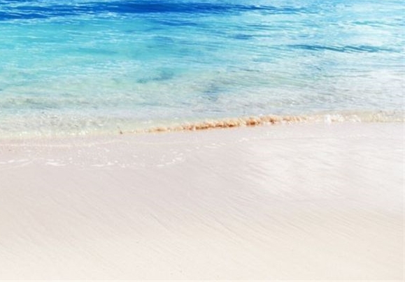 同济医院硕博连读