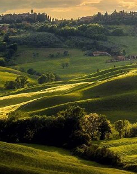 迷你世界木鱼你做我玩跑酷
