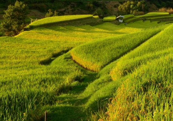 超级科技系统十级文明