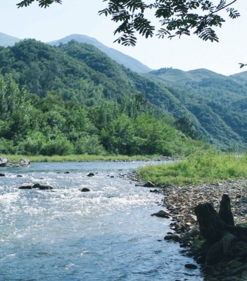 迷你世界海洋神殿boss