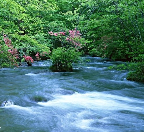 罗德岛艺术设计学院世界排名