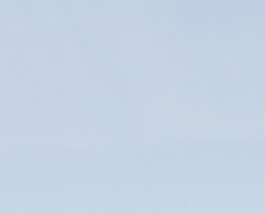 僵尸世界大战未删减版下载