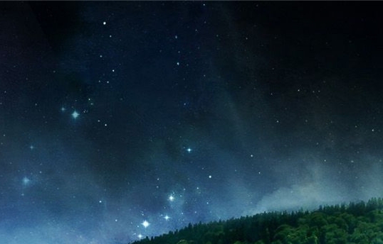 今年世界法律日的主题