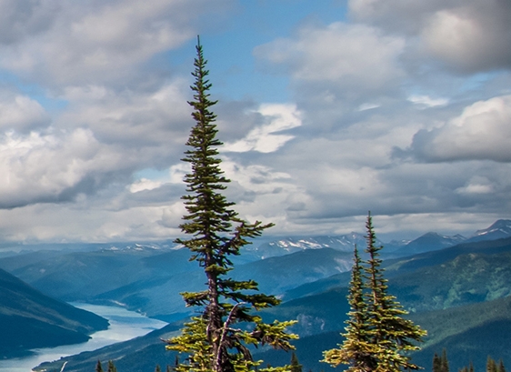 山东丽波电子科技有限公司