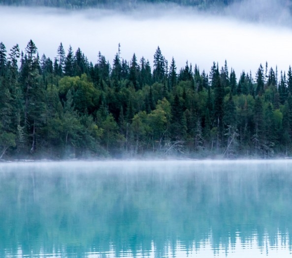 战舰世界普鲁希特加点