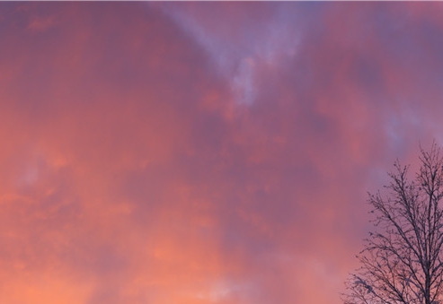 世界知名咨询公司华盛顿