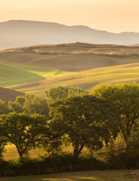 网球男子单打世界排名