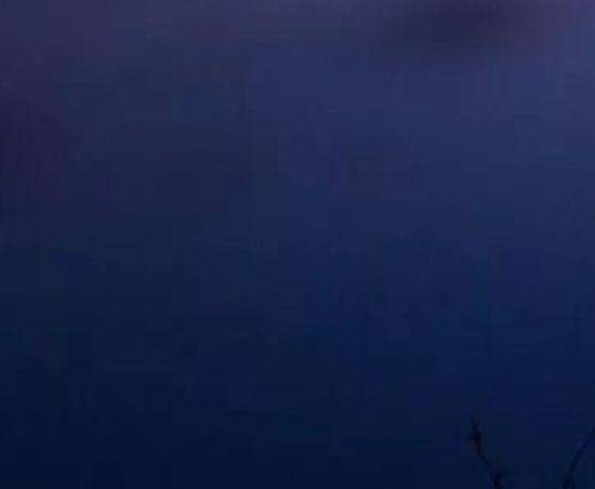 最好看的电影排行榜前十名