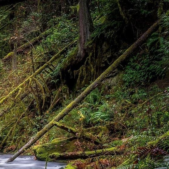 中国科技馆金龟子好看吗