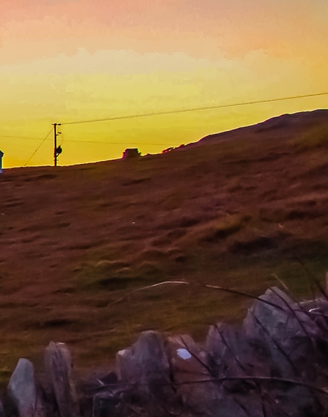 侏罗纪世界4只迅猛龙的性别