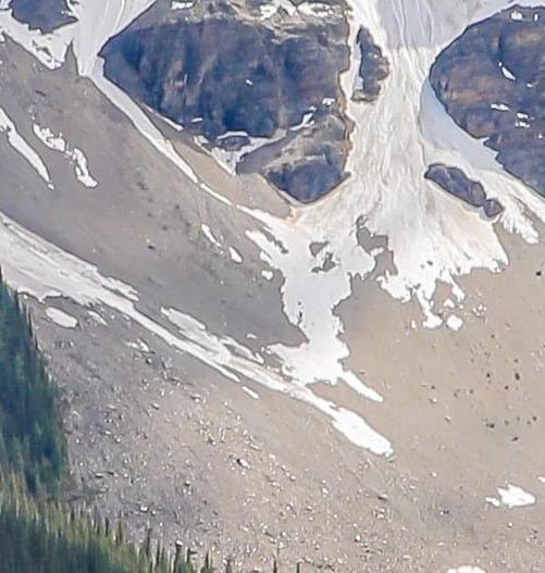 我的世界雨林群系ID