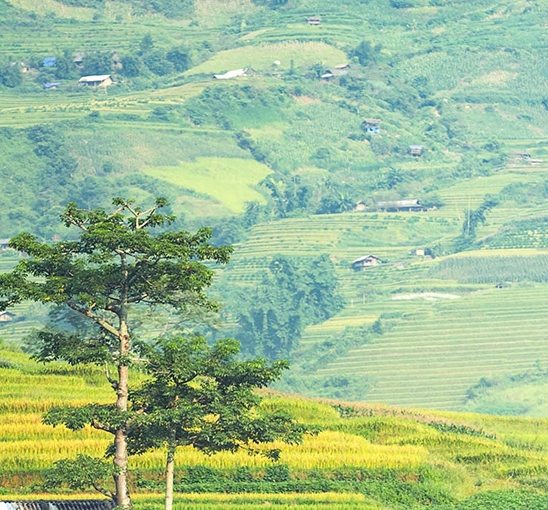 凹凸世界格瑞表情包无水印